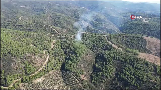 Aydın'ın Nazilli ilçesindeki orman yangını hızlı müdahale ile söndürüldü