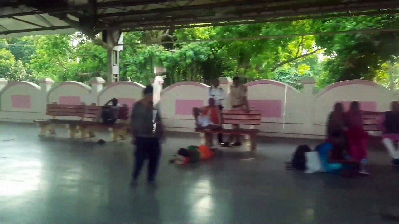 Trains at the Train Station _ Railway station _ Diesel Engine Trains _ Electric Engine Trains