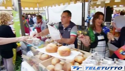 Video News - LA VALLE DEI SEGNI IN CITTA'