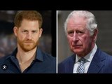 Il principe Harry “non può avere un’immagine pubblica positiva” senza la famiglia reale