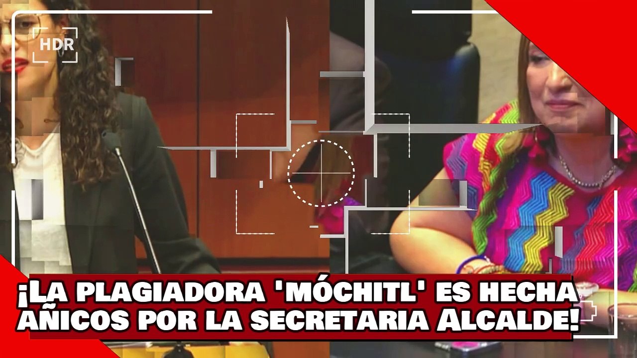 ¡VEAN! ¡La plagiadora ‘Móchitl’ es hecha añicos por la secretaria Luisa Alcalde por atacar a AMLO!
