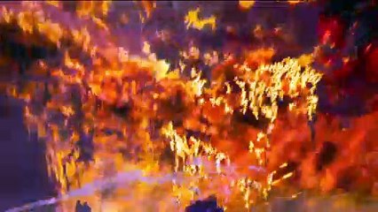 El chico y la garza - Tráiler español