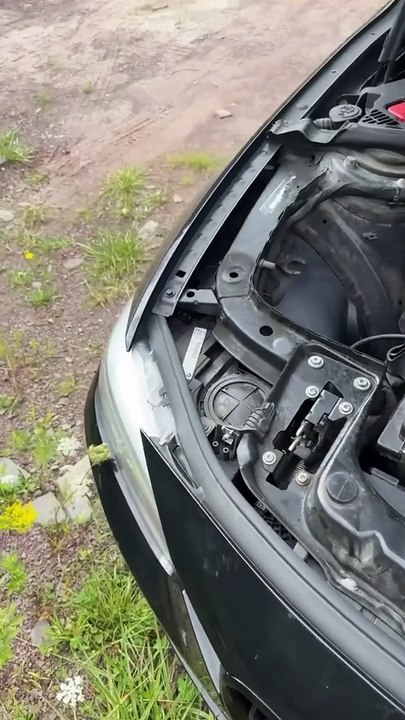 Rat Hitches A Ride Upstate