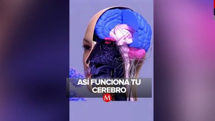 ¿Los olores afectan la percepción de los colores?