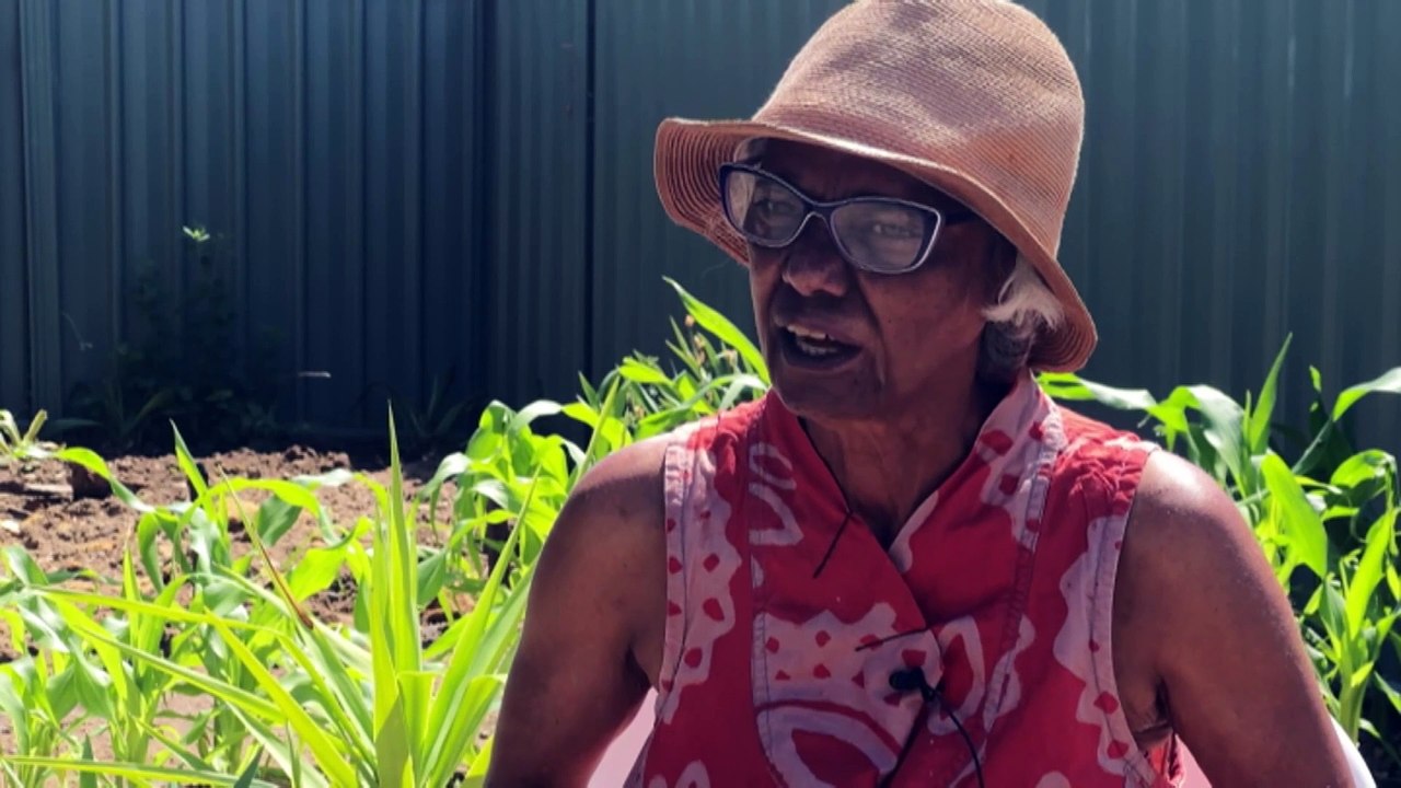 Referendum results divides urban and country voters across NSW