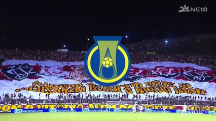 VITÓRIA 2 X 0 GUARANI - MELHORES MOMENTOS - SÉRIE B - 15 10 2023