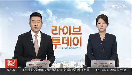 마산만서 집단폐사한 정어리 45톤 전량 수거