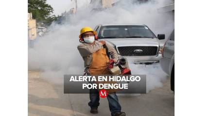 Aumentan casos de dengue en Hidalgo