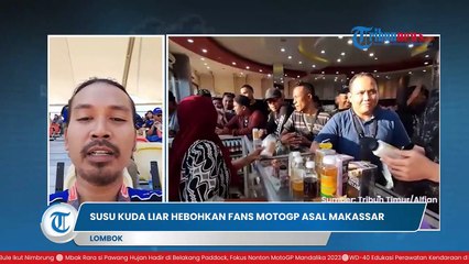 Atmosfer MotoGP Mandalika 2023 Suguhan Susu Kuda Liar Khas Lombok Hebohkan Penonton Asal Makassar