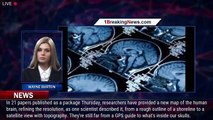 Studies add details about the brain, clues for future treatments - 1breakingnews.com