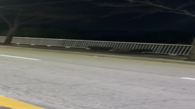 부산 도심에 멧돼지 출몰 잇따라...2마리 사살 / YTN