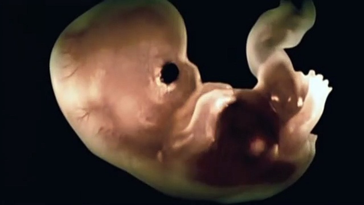 The Eye 2 : Renaissances Bande-annonce (ES)