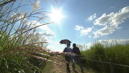 [날씨] 대체로 맑고 선선, 서울 19℃...내일 아침 올가을 가장 '쌀쌀' / YTN
