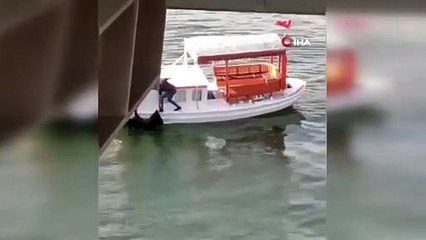 Haliç’te korku dolu anlar kamerada: Bir kadın denize düştü