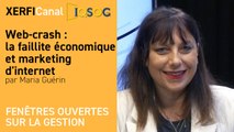 Web-crash : la faillite économique et marketing d'internet [Maria Guérin]