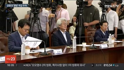 금융사 수장들 안보이네…금융권 국정감사 '맹탕' 우려
