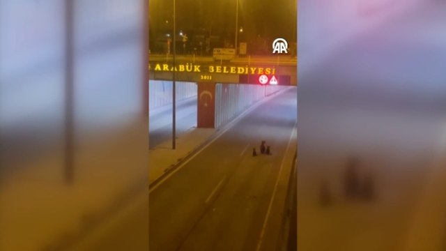 Şehir merkezine inen 3 ayı cep telefonu kamerasında