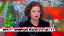 Élisabeth Lévy sur l'expulsion des «étrangers dangereux» : «Cela suppose de dénoncer au moins une partie de la Convention européenne des droits de l'homme»