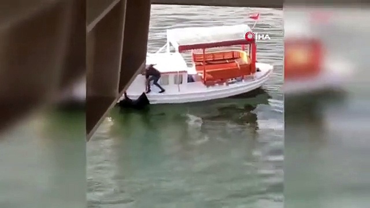 Une femme est tombée à la mer sur le pont du métro de la Corne d'Or
