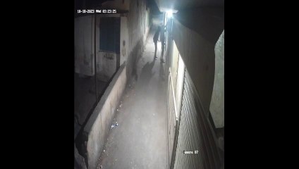 दबे पांव आए चोरी करने, सीसीटीवी कैमरे में हो गए कैद देखे Video