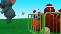 Sports Ball Song - CoComelon Nursery Rhymes & Kids Songs