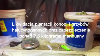 Narkotyki w gminie Inowłódz