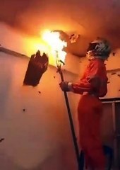 Regardez comment il détruit un nid de guêpes