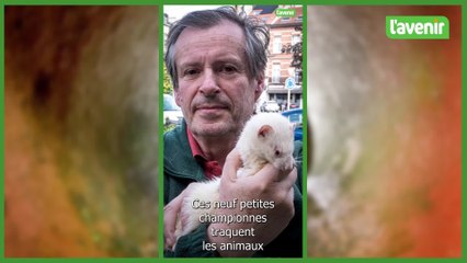 La minute locale - Samedi 14 octobre 2023