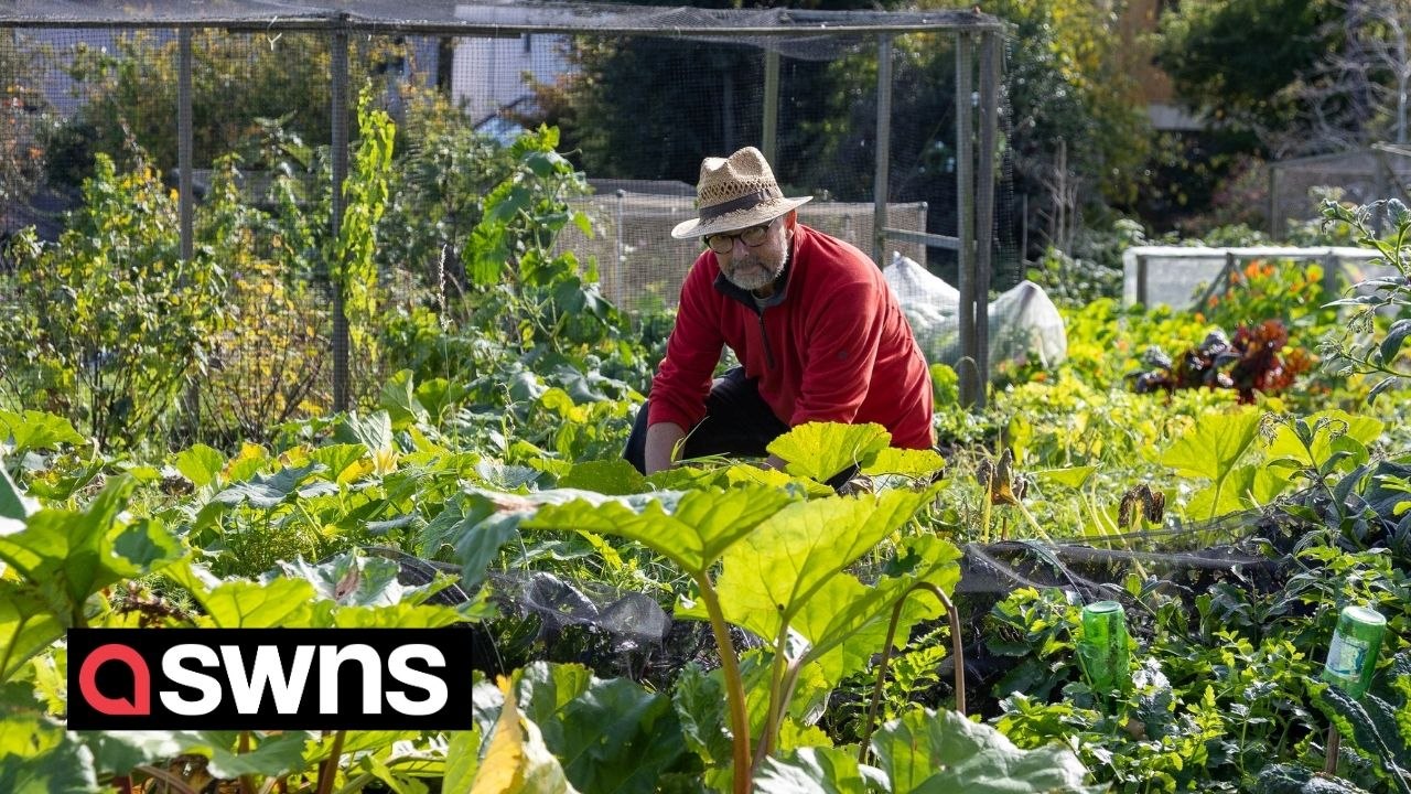 'Most sought after' allotments in the UK - where people wait years to get a chance to grow their own