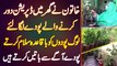 Depression Khatam Karne Ke Liye Ghar Me Gardening Karne Wali Lady - Log Plants Se Baatein Karne Lage
