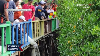 Video herunterladen: Lestarikan Hutan Mangrove Pemprov Papua Barat Daya Tebar Seribu Bibit Ikan Nila