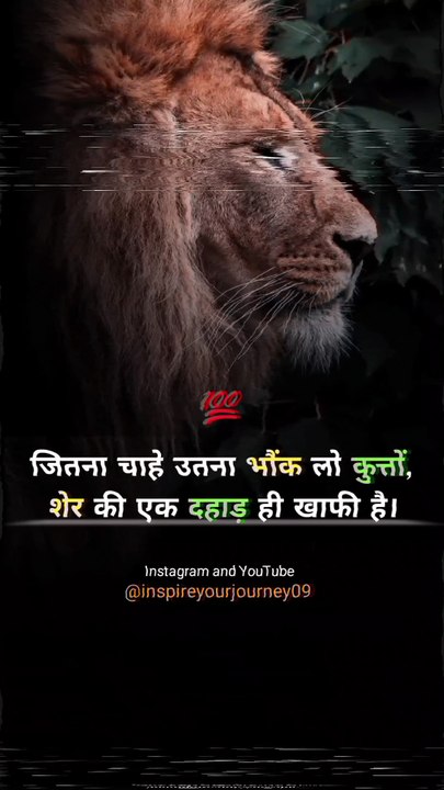 lion attitude