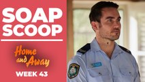 Home and Away Soap Scoop! Cash is threatened by Madden