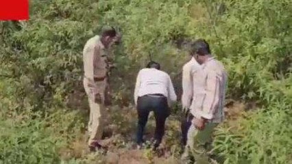 खंडवा: तीर्थ नगरी में तेंदुआ दिखने से मचा हड़कंप, खोजबीन जारी