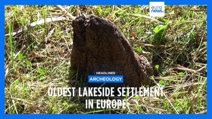 Latest news bulletin | October 16th – Midday