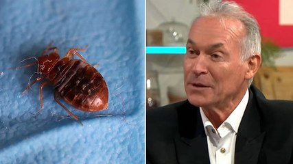 Dr Hilary Jones shares useful tip for dealing with bedbugs at home