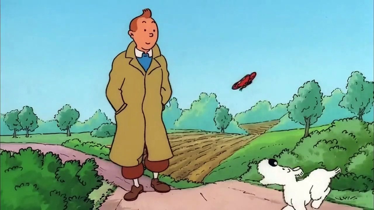 Tim und Struppi - Die schwarze Insel