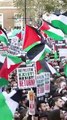 Israël-Gaza: dans le monde entier, les manifestations pro-Palestine se multiplient