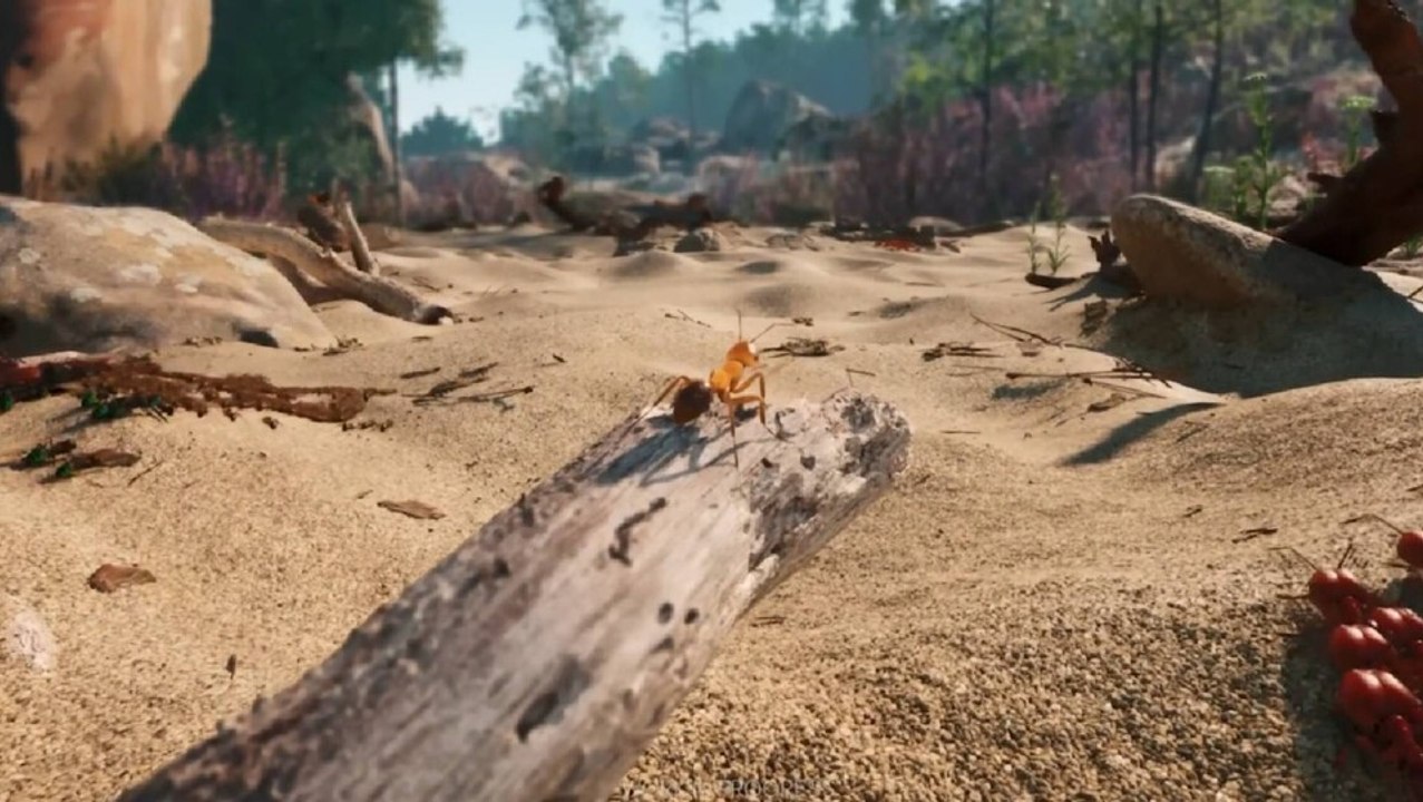 Fast fotorealistische Ameisen: In diesem Spiel sind die kleinen Krabbeltiere die Stars