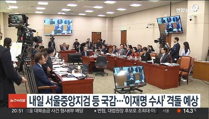 내일 서울중앙지검 등 국정감사…'이재명 수사' 격돌 예상