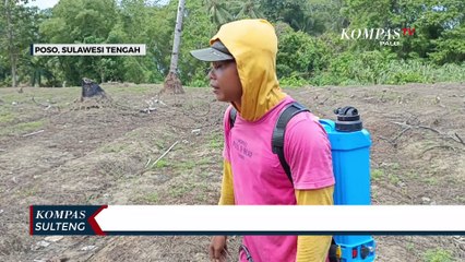 Pertanian Terdampak Kekeringan