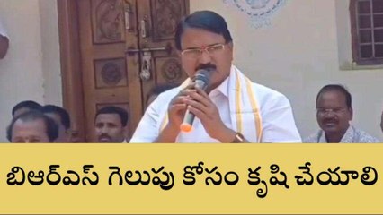 వనపర్తి: బీఆర్ఎస్ పార్టీని గెలిపించడానికి కృషి చేయాలి..