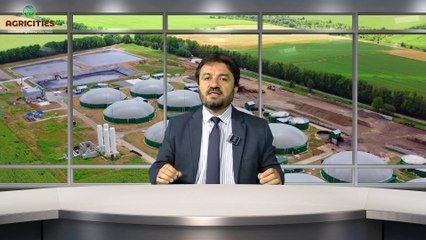 Enzimlerin Kullanım Alanları