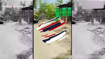 İneği görür görmez yolunu değiştirdi! Görüntüler sosyal medyada viral oldu