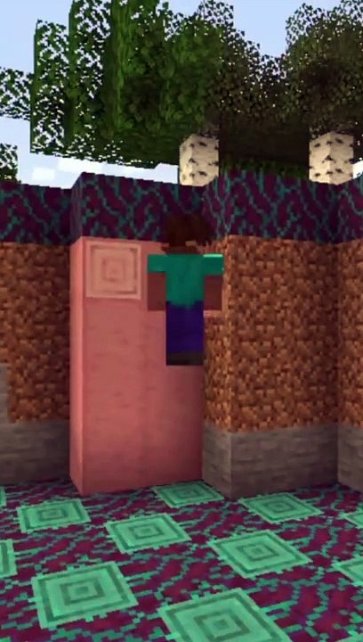 Underground Base Minecraft Build