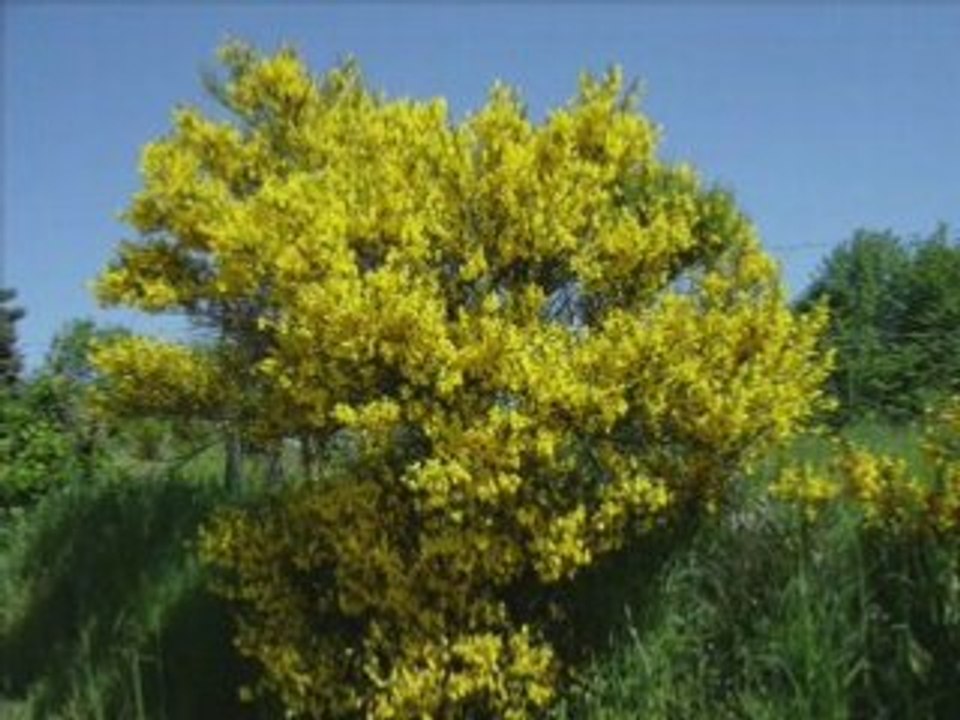 Diaporama des saisons