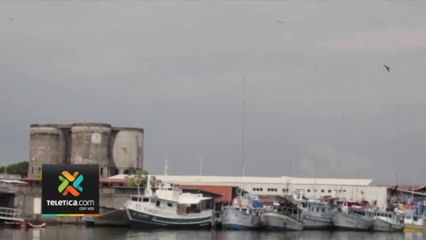 tn7-acuerdo-de-incopesca-pone-en-riesgo-a-especies-en-peligro-segun-diputada-161023