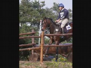 Cci*** fontainebleau mars 2008