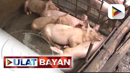 P1.5B realignment budget ng DA, malaking tulong sa ahensiya