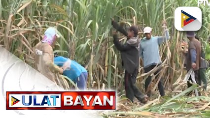Ilang sugarcane farmers sa Negros Occidental na umaaray sa maliit na kita, natulungan ng pamahalaan